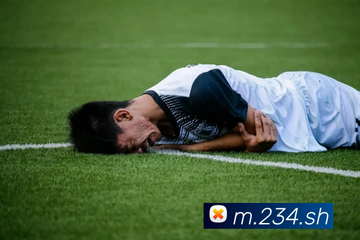 赛事专题整合
